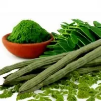Moringa