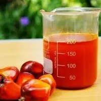 Crude Palm Oil (CPO)