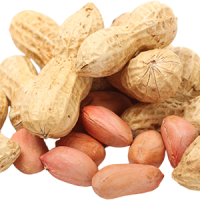 Ground Nuts