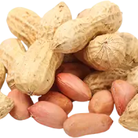 Ground Nuts