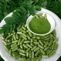 Herbs - Tulsi and Moringa