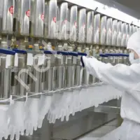 Nitrile Gloves