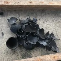 Coconut Shell Charcoal