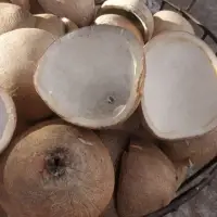White Copra