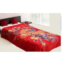 Polyester Mink Blanket