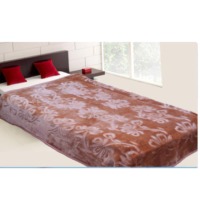Polyester Mink Blanket