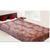 Polyester Mink Blanket