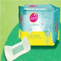 Anion Panty Liner