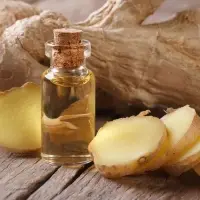 Fresh Ginger Oil