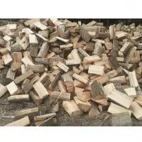 Eucalyptus Firewood
