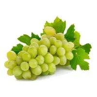 Fresh Grapes - Thompson Seedless