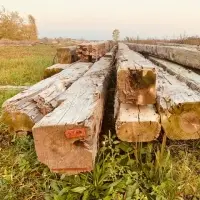 130 Yr Old Barn Beams