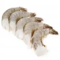 Panaeus Sp Fish