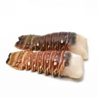 Panulirus Sp Lobster