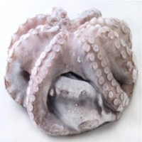 Poulpe Entier Octopus
