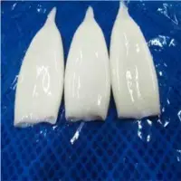 Loligo Sp (calamar) Fillet