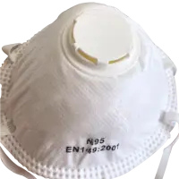 N95 Mask