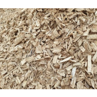 Eucalyptus Wood Chips