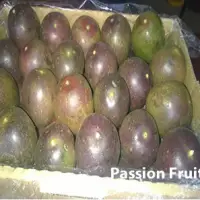 Passion Fruit