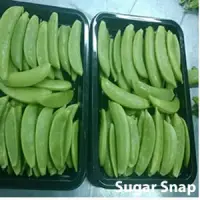 Sugar Snap