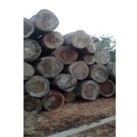 Hardwood Logs