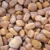 Sandstone Pebbles
