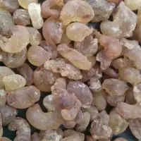 Gum Arabic