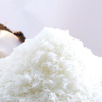 Desiccated Coconut Powder