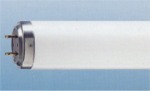 Fluorescent tubes