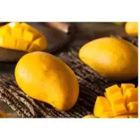 Mango Pulp & Concentrate