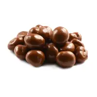 Chocolate Covered Macadamia Nuts
