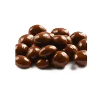 Sugar Free Chocolate Raisin