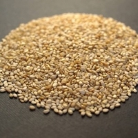 Ethiopian Sesame Seed