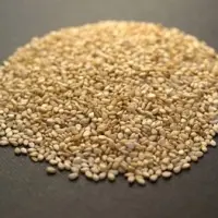 Ethiopian Sesame Seed