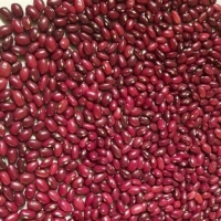 Kidney Beans