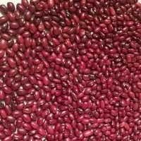 Kidney Beans