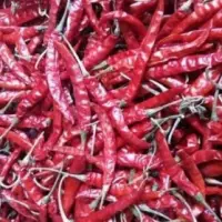 Teja S17 Dried Red Chilli