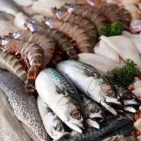 Seafood