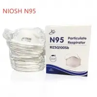 N95 Mask