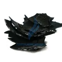 Sri Lanka Coconut Shell Charcoal