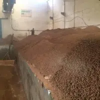 palm kernel cake in malaysia