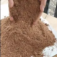 Palm Kernel Cake Protein
