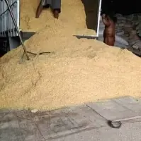 Corn Gluten Meal Animal Feed