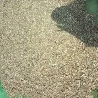 Fish Meal For Animal Feed