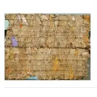 OCC Paper