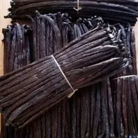 Premium Gourmet Black Vanilla
