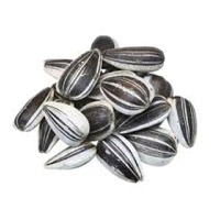 Sunflower Seeds Iregy Type