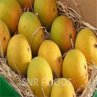 Totapuri Mango Pulp