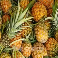 Pineapple Pulp
