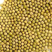 Green & Blue Peas